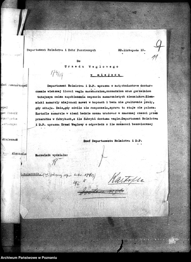 Obraz 15 z jednostki "Kartofle"