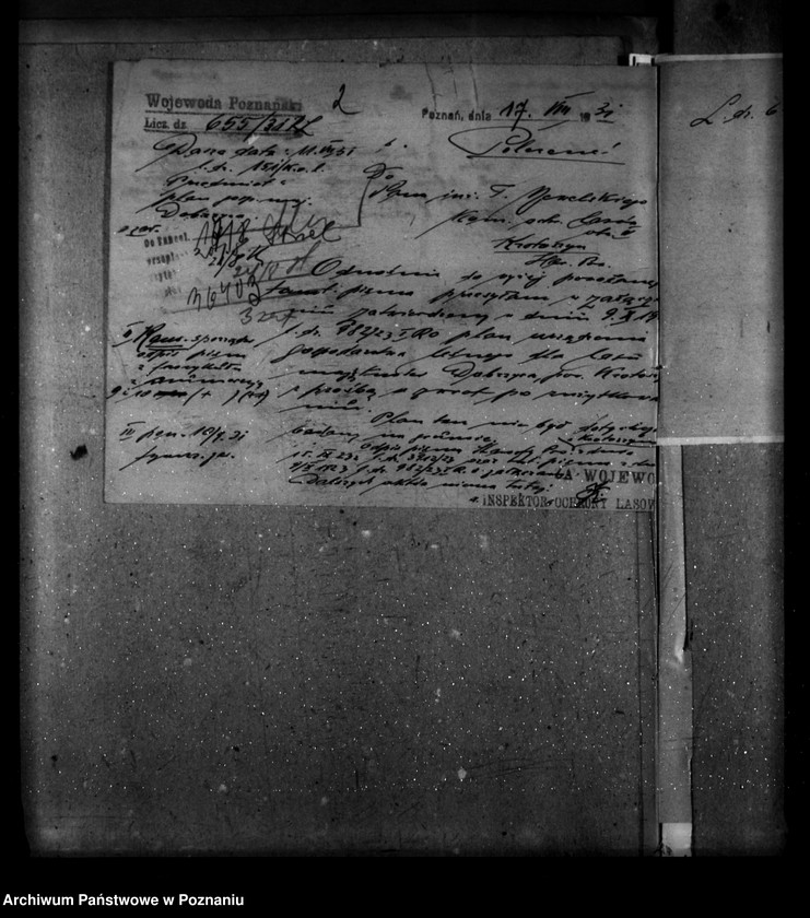 image.from.unit.number "Majętność leśna Dobrzyca powiat krotoszyński"