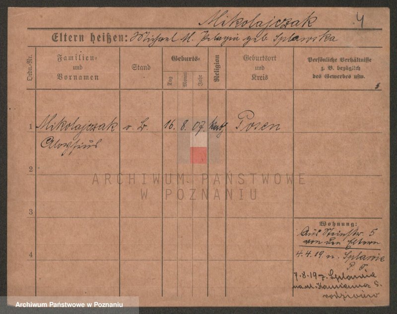 Obraz 6 z jednostki "Mikołajczak (żonaci i wdowy)"