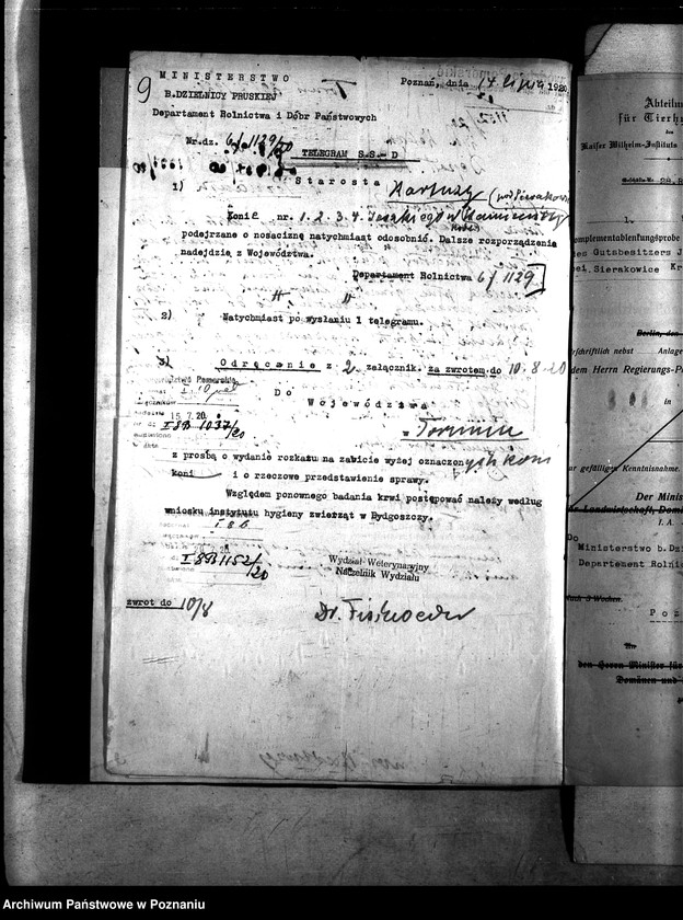 Obraz 13 z jednostki "Nosacizna - Kartuzy"