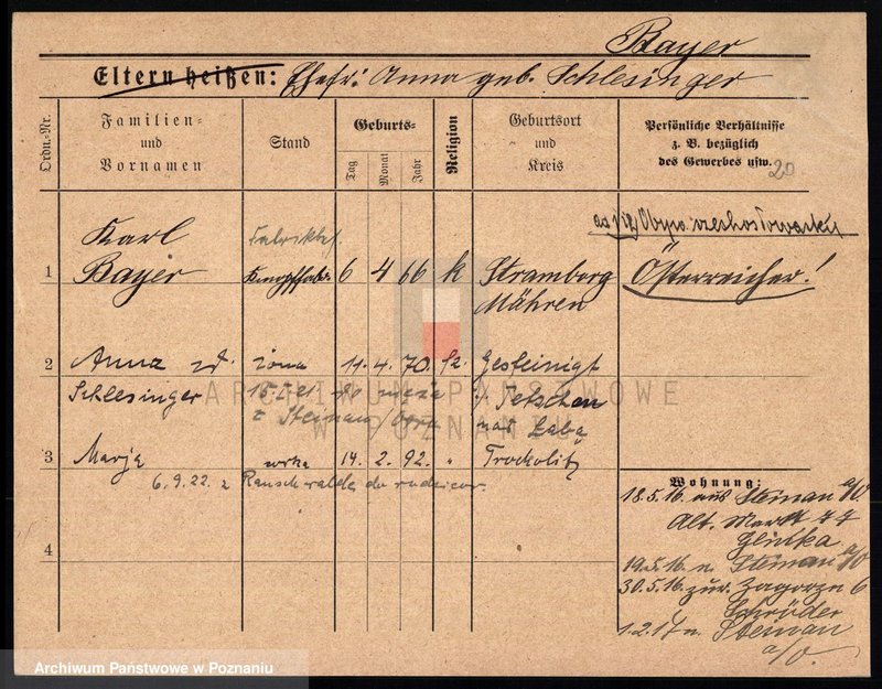 Obraz 20 z jednostki "Bajer (Bayer, Beyer)"