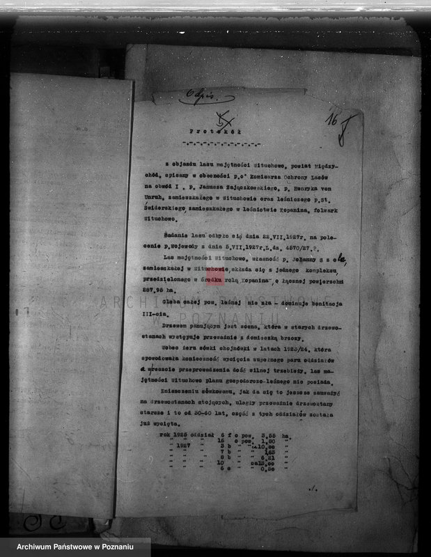 Obraz 18 z jednostki "Majętność Wituchowo w powiecie międzychodzkim"