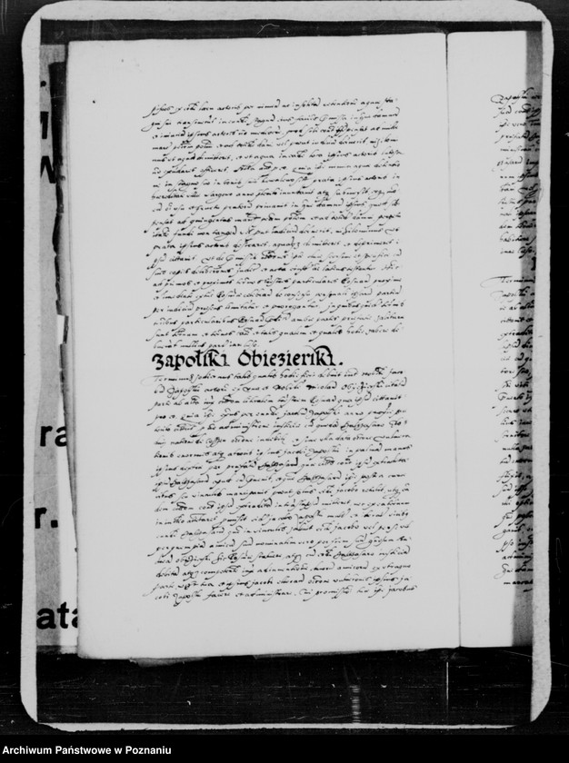 Obraz 9 z jednostki "Inscriptiones, relationes, decreta [inducta]"