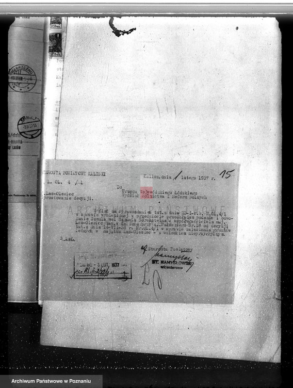 Obraz 19 z jednostki "Majętność /leśna/ Olesiec-Chocz powiat koniński"