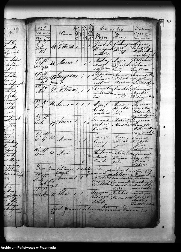 Obraz 7 z jednostki "[Kopie ksiąg metrykalnych parafii Prusiek z filią Sanoczek (dekanat Sanok)]"