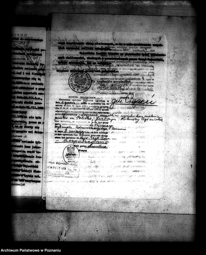 Obraz 13 z jednostki "/Scalenie gruntów wsi Policko powiatu konińskiego/"