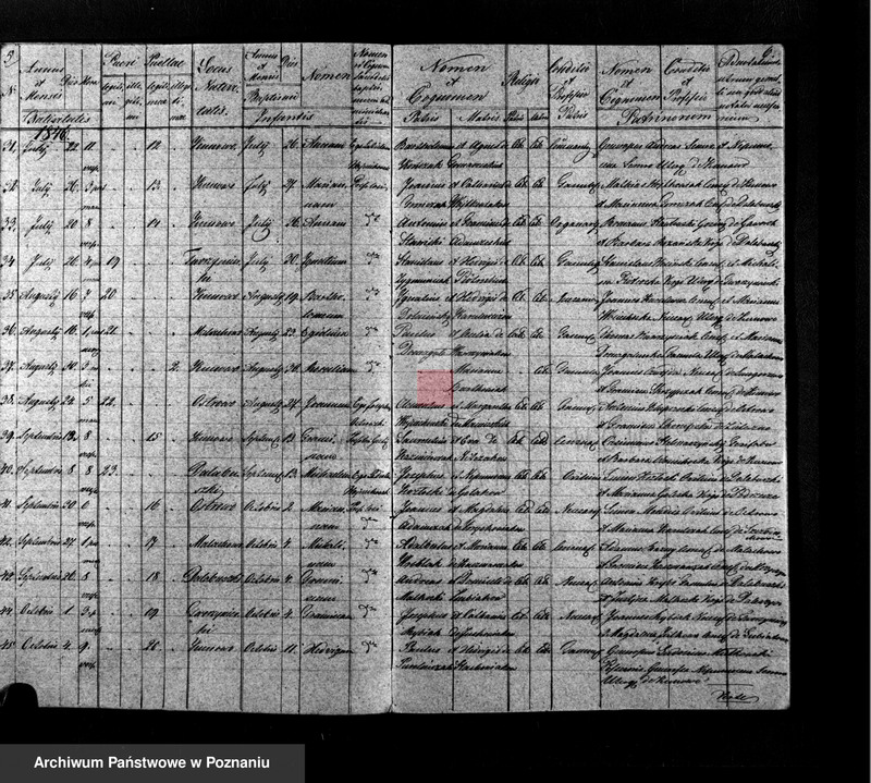Obraz 5 z jednostki "Liber baptisatorum, copulatorum, mortuorum"