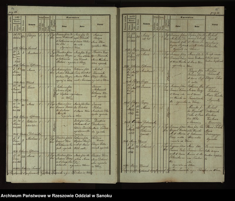 image.from.unit.number "Księga urodzeń, małżeństw, zgonów dla miejscowości Ulucz, Horoszówka (Hroszówka)"