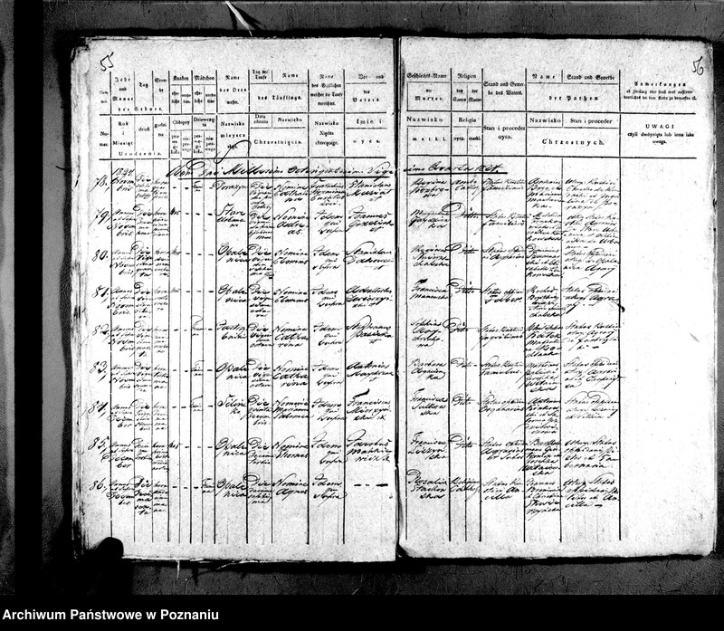 image.from.unit.number "Liber baptisatorum"