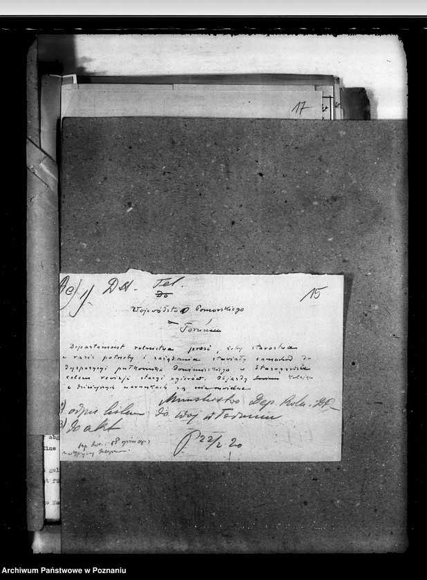 Obraz 19 z jednostki "Zarząd Stadnin Starogard"