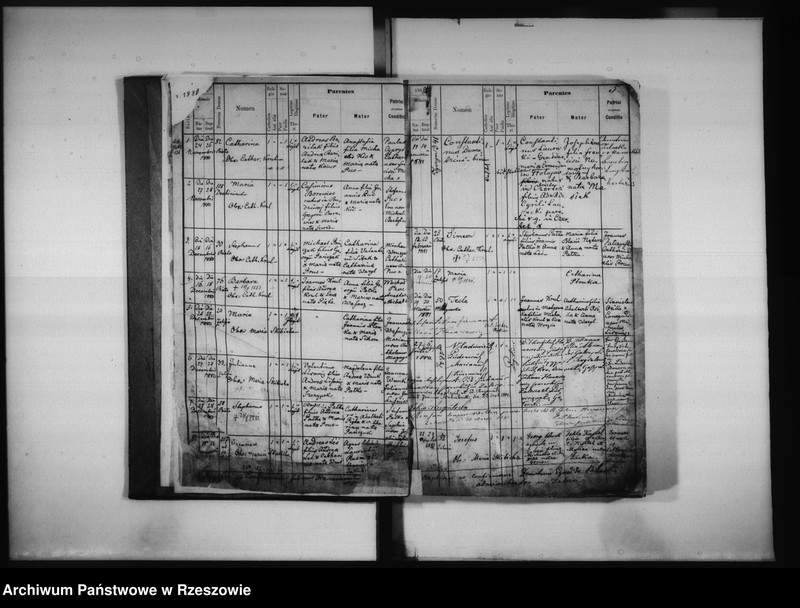 image.from.unit.number "Księga urodzeń Biała, Matysówka, Zalesie Drabinianka, Rzeszów, Tyczyn"