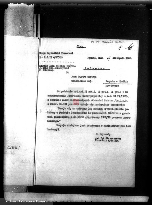 Obraz 12 z jednostki "Las majątku Krzycko Wielkie powiat leszczyński"