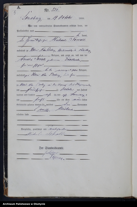 image.from.unit.number "Geburts-Haupt-Register,Tom III,Nr 233 - 301"