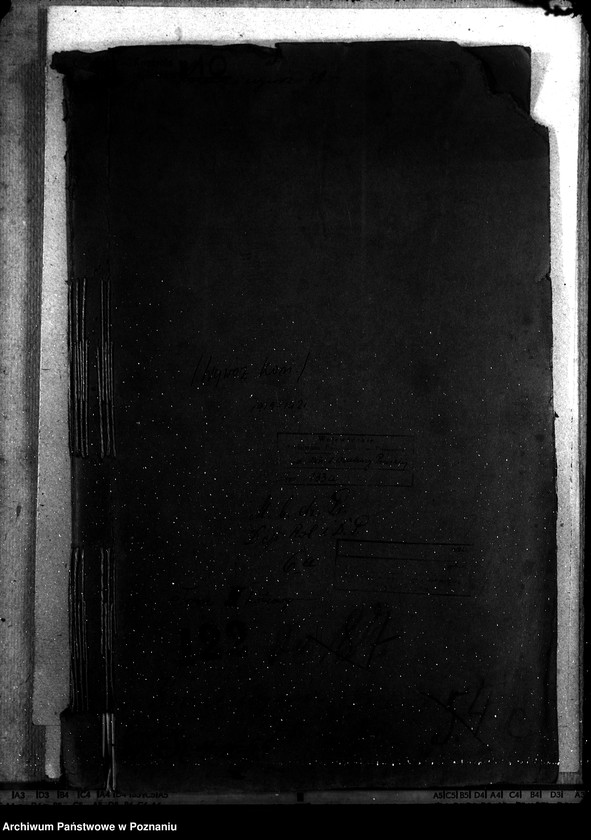 Obraz 4 z jednostki "Wywóz koni"