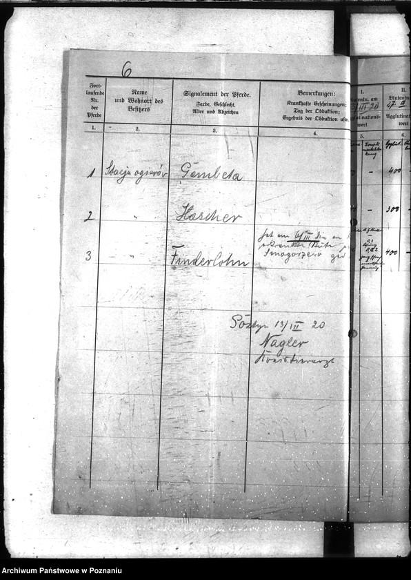 Obraz 10 z jednostki "Nosacizna - Gostyń"