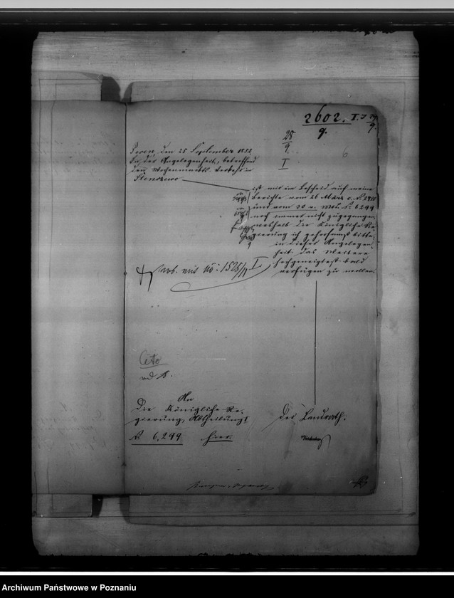 Obraz 10 z jednostki "Ordynacja targowa miasta Stęszewa"