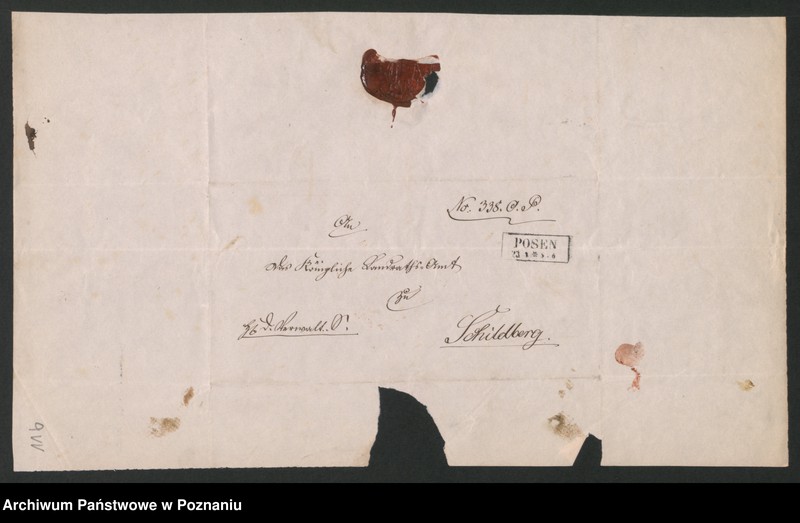 Obraz 19 z jednostki "A. betr. den polnischen Flüchtling Josef von Bąkowski"