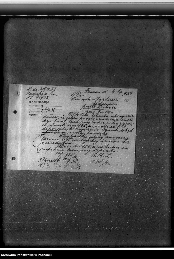 Obraz 14 z jednostki "Majętność leśna Godurowo w powiecie gostyńskim"