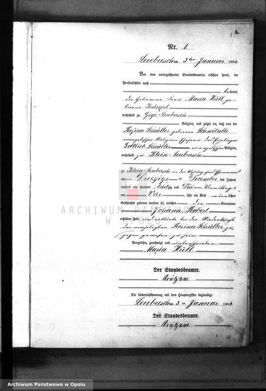 Obraz z jednostki "Geburts-Neben-Register Standes-Amt Leubusch 1884"