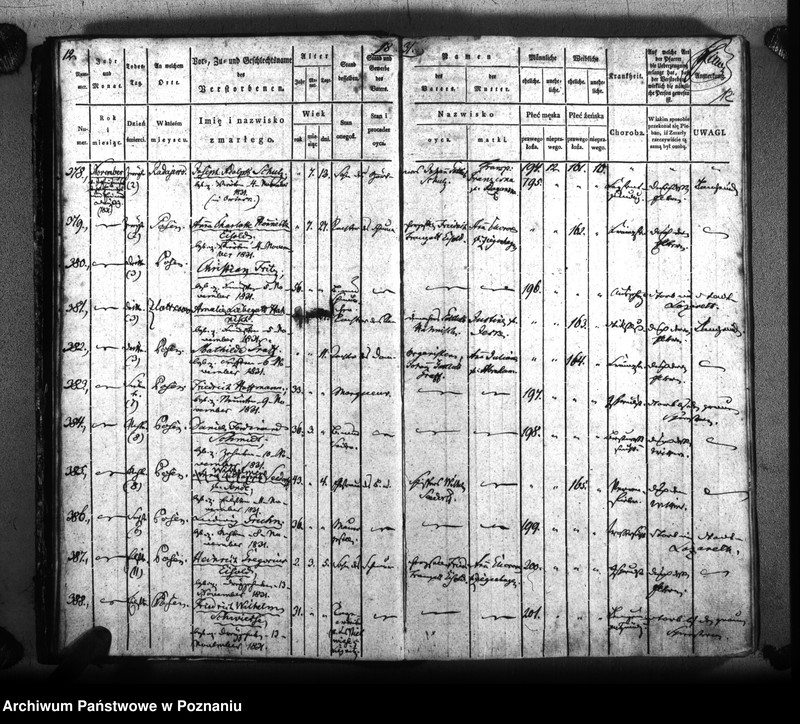 Obraz 15 z jednostki "Sterbenbuch"