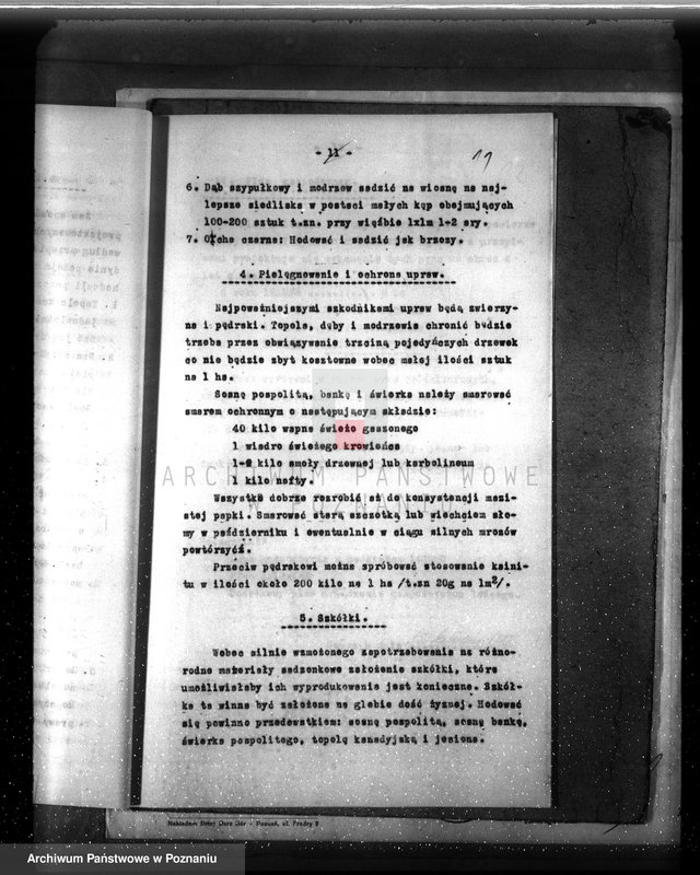 Obraz 15 z jednostki "Dodatkowy plan urządzenia gospodarstwa leśnego dla lasu majętności Grzuszyn powiat szamotulski"