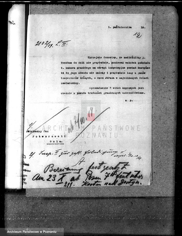 Obraz 15 z jednostki "Majętność leśna Gola w powiecie gostyńskim"