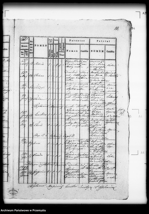 Obraz 15 z jednostki "[Kopie ksiąg metrykalnych parafii Boratyn z filią Ostrów (dekanat Bełz)]"