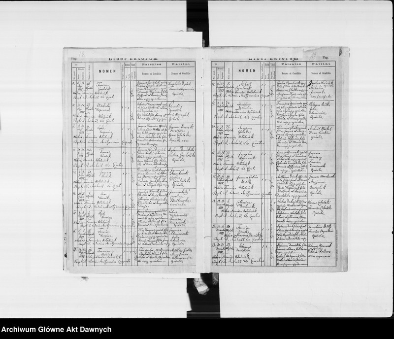 image.from.unit.number "Parafia: Janów Trembowelski. Dekanat: Trembowla. Księga metrykalna urodzeń 1888-1889, 1891, 1893-1902, ślubów 1888-1889, 1891, 1893-1898, 1900-1902 i zgonów 1888-1889, 1891, 1893-1902 dla miasta Janów i wsi: Kobyłowłoki* i Papiernia*, Słobódka i Zniesienie, Dereniówka, Dołhe, Młyniska*, Podhajczyki**, Wybranówka**."