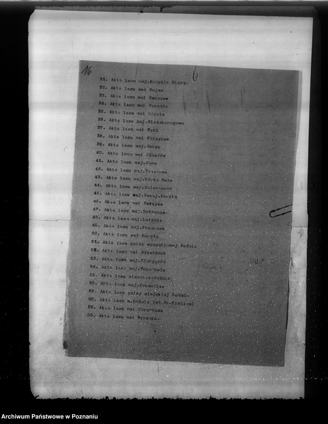 Obraz 20 z jednostki "Komisarze ochrony lasów"