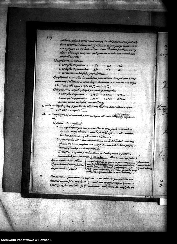 Obraz 18 z jednostki "Podział wspólnego pastwiska wsi Oleśnica powiatu konińskiego"