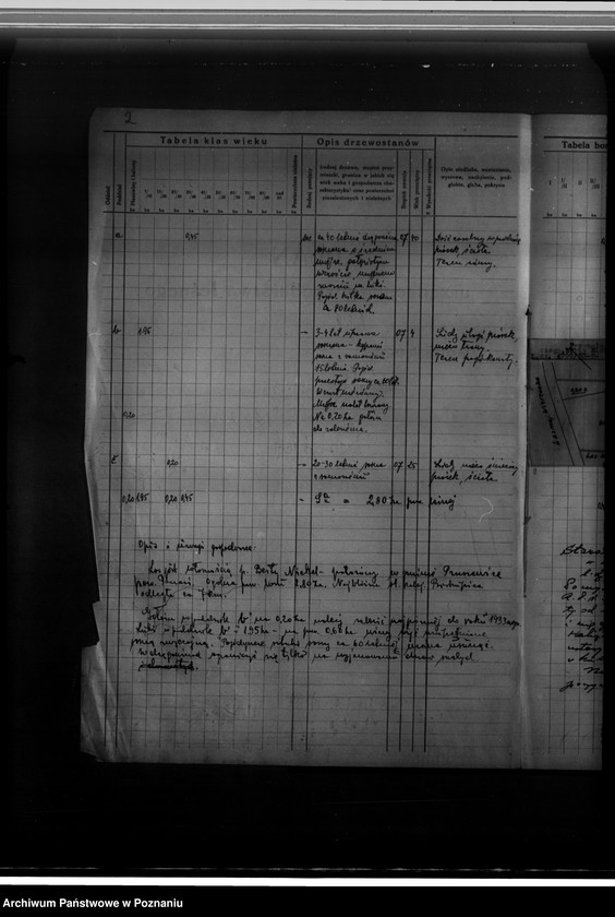 Obraz 6 z jednostki "Program urządzenia gospodarstwa leśnego dla lasu w gminie Pruszewice wł.. Berta Nickel powiat poznański 1929-1939"