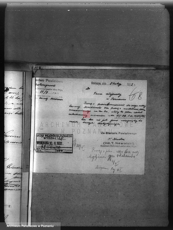 Obraz 12 z jednostki "Majętność leśna Możdzanów powiat ostrowski"