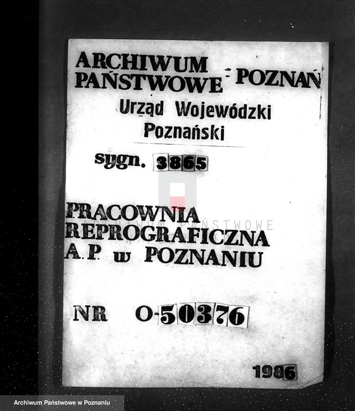 Obraz 1 z jednostki "Nadzór nad gospodarką w lasach majętności Dębicz powiat średzki"
