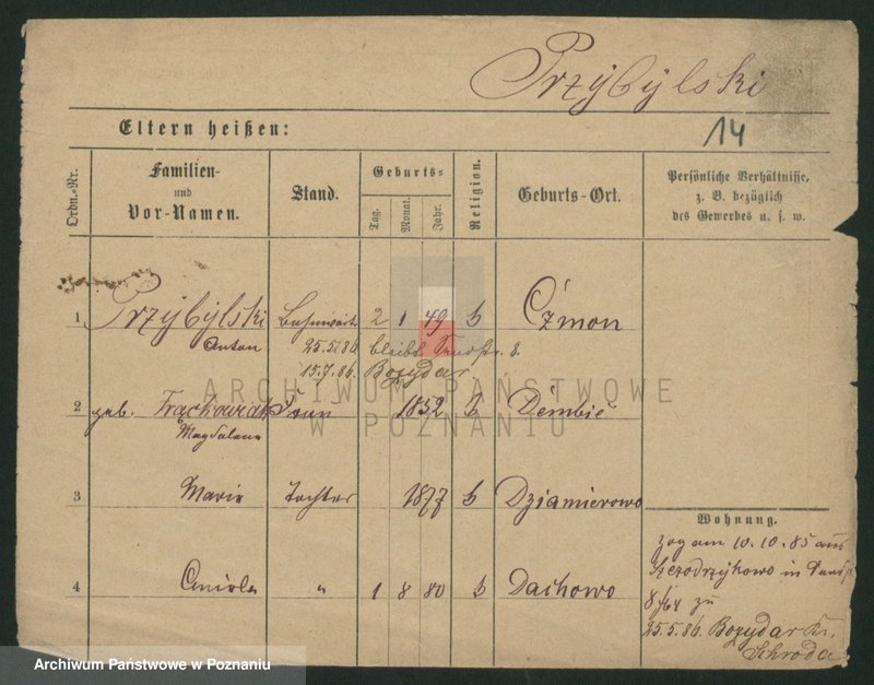 Obraz 16 z jednostki "Przybylski (żonaci - samotni mężczyźni do Gustaw)"