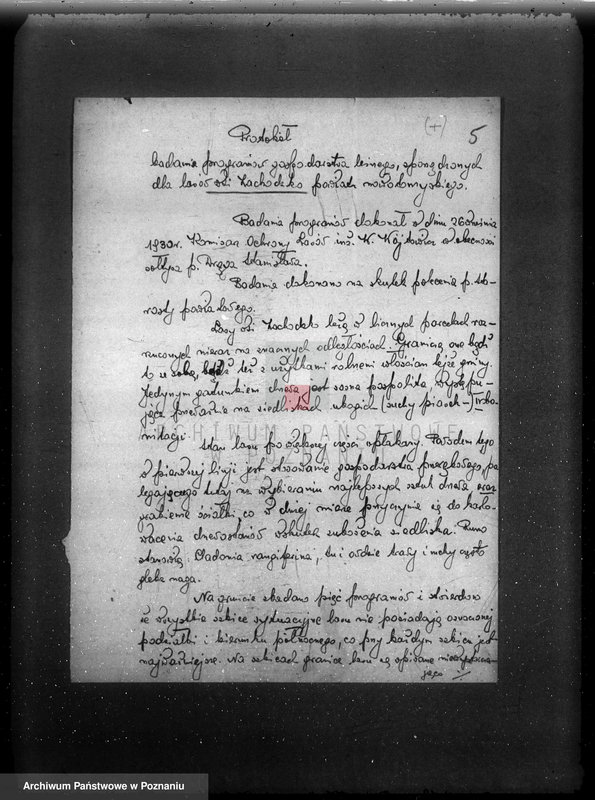 Obraz 10 z jednostki "/Nadzór nad gospodarką leśną/ protokoły badania lasów, programy gospodarcze powiat nowotomyski"