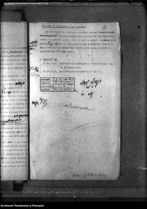 Obraz 14 z jednostki "- księgosusz -"