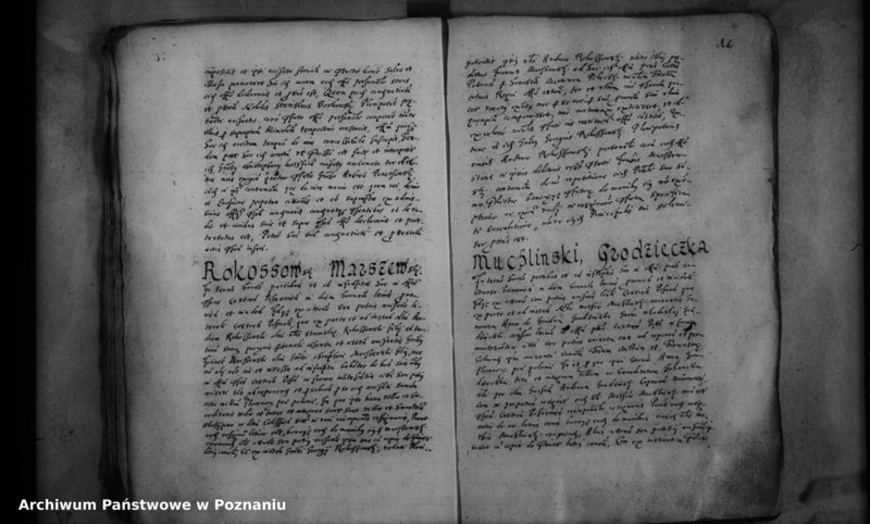 Obraz 13 z jednostki "Inscriptiones [inducta]"