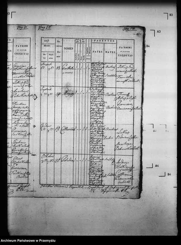 Obraz 14 z jednostki "[Kopie ksiąg metrykalnych parafii Brunary Wyżne z filiami Brunary Niżne, Czarna, Jaszkowa (dekanat Grybów)]"