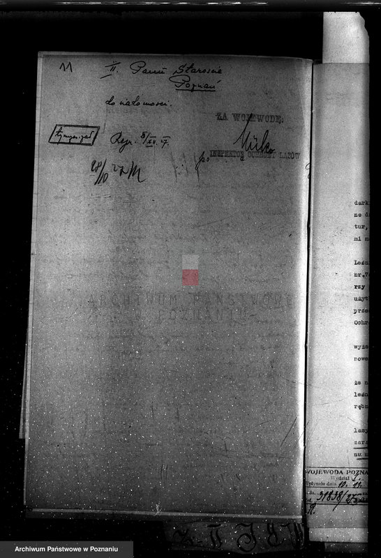 Obraz 15 z jednostki "Nadzór nad gospodarką w lasach majętności Łagiewniki"