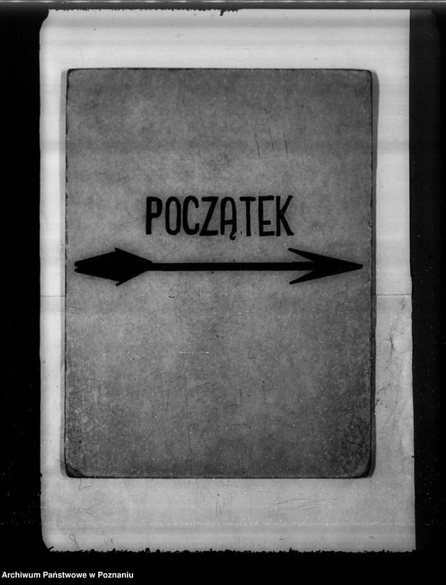 Obraz 3 z jednostki "Komisarze ochrony lasów"