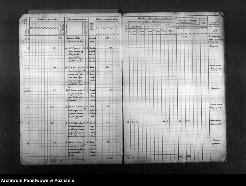 Obraz 20 z jednostki "Majątek Cieśle powiat grodziski /Nadzór nad gospodarką leśną/"