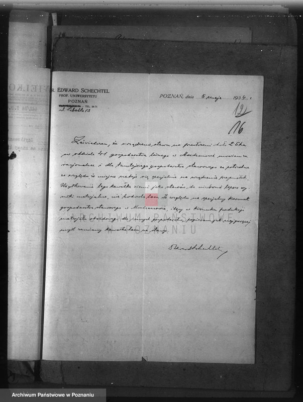 Obraz 20 z jednostki "Majętność leśna Możdzanów powiat ostrowski"