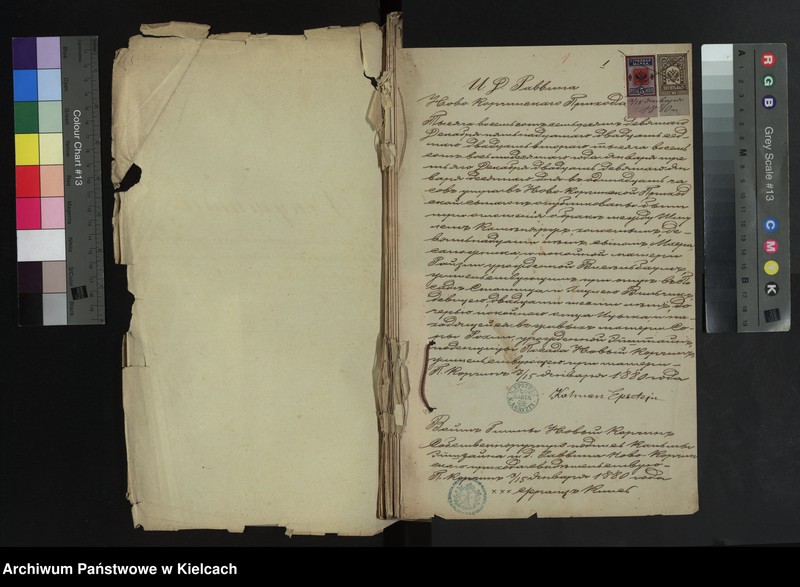 image.from.unit "[Alegata]"