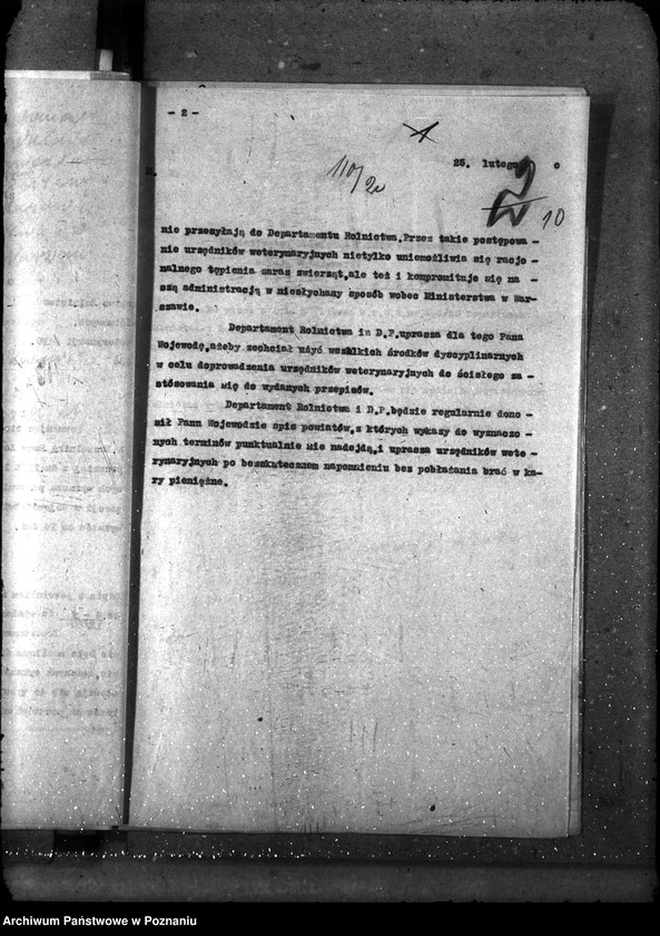 Obraz 19 z jednostki "Sprawy ogólne Wykazy chorób zaraźliwych; [księgosusz, zaraza płucna]"