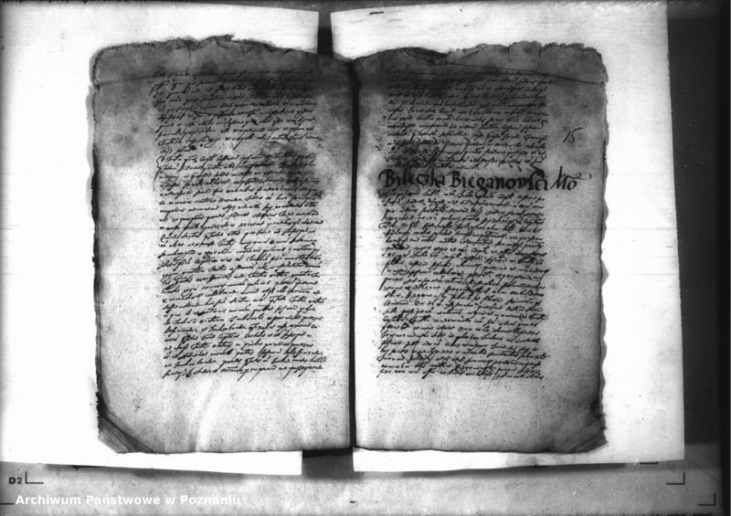 Obraz 17 z jednostki "Decreta iudicii [inducta]"