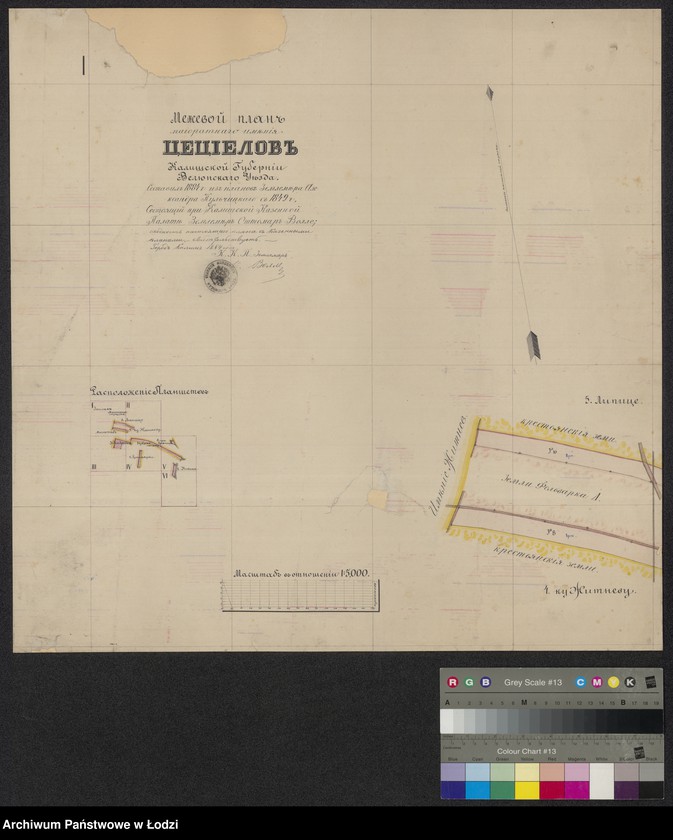 Obraz 1 z jednostki "Meževoj plan maìoratnago iměnìja Cecìelov Kališskoj Gubernìi Veljunskago Uězda"