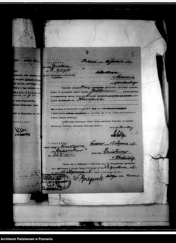 Obraz 8 z jednostki "Parcelacja rządowa majątku Jabłonowo powiat chodzieski"