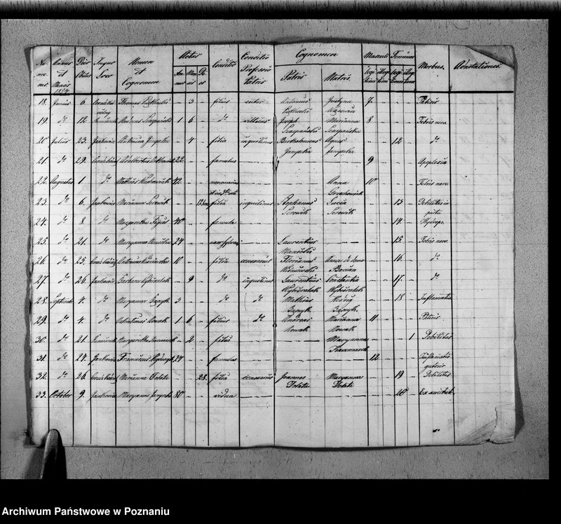 image.from.unit.number "Duplikat baptisatorum, copulatorum, mortuorum"