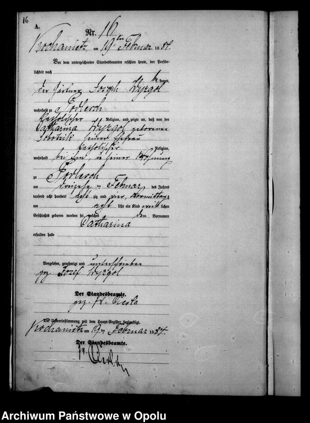 image.from.unit.number "Urząd Stanu Cywilnego Kochaniec Księga urodzeń rok 1884"