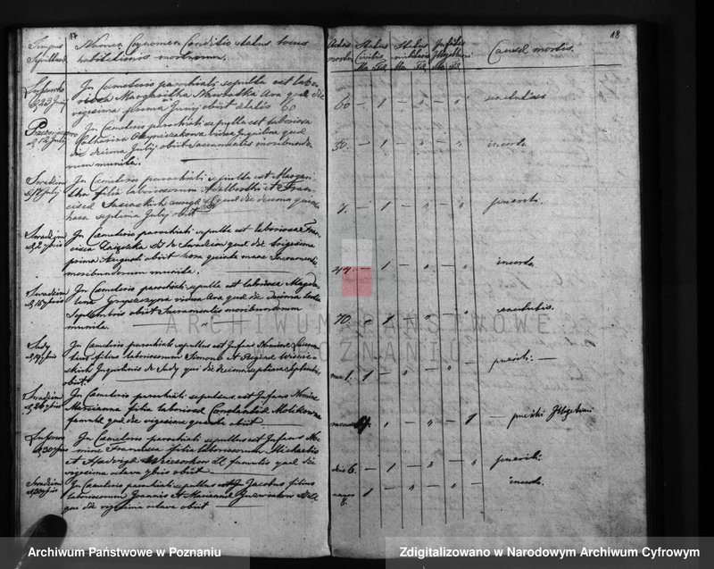 Obraz 12 z jednostki "Liber mortuorum"